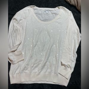 Long Sleeve Sequined Sweater